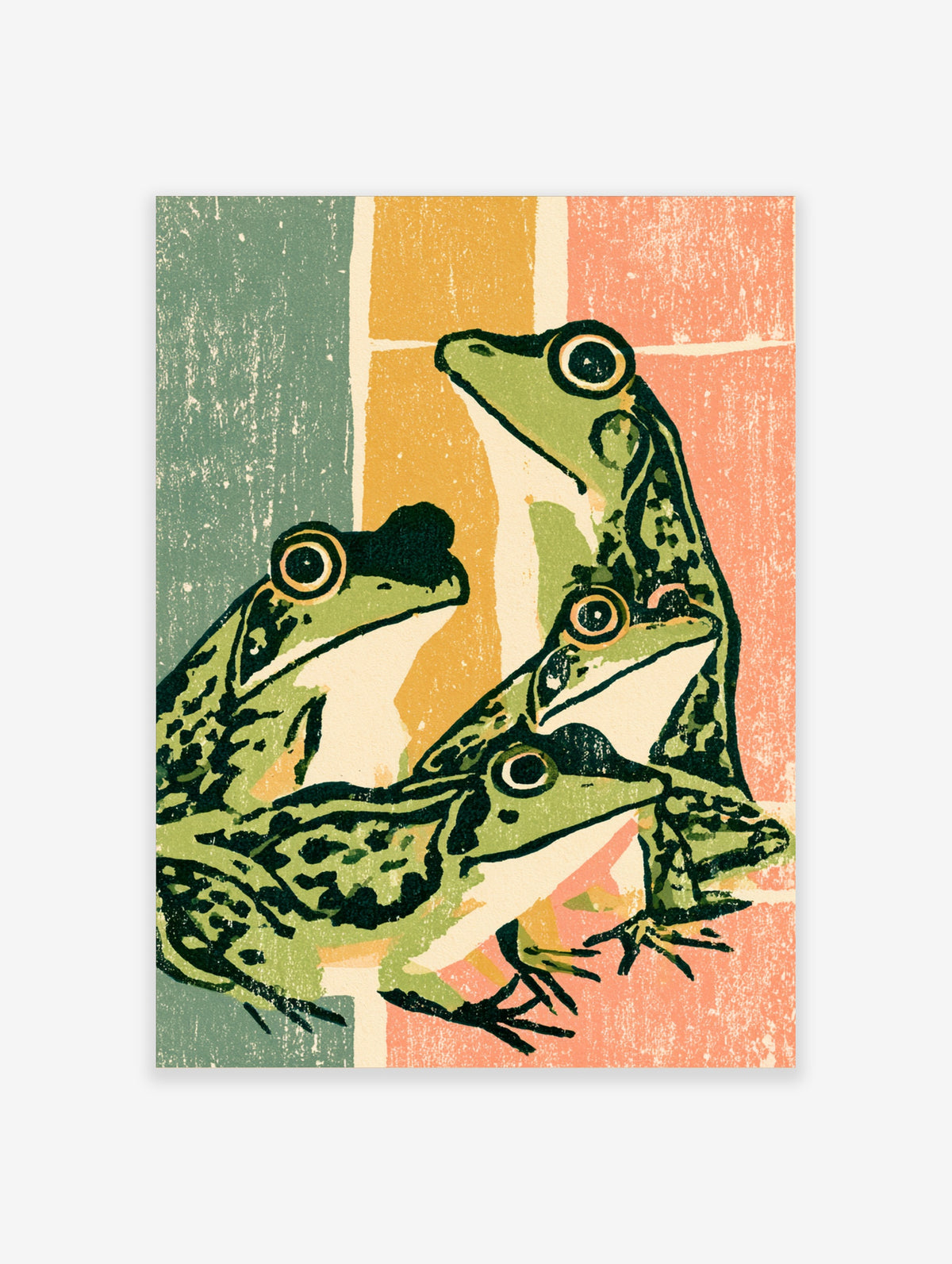 Green frog illustration with three textured frogs on a colour-blocked background of green, orange, and pink
