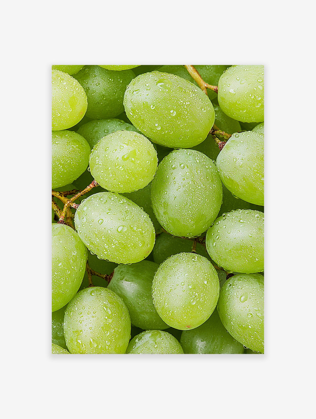 Close-up of fresh green grapes covered in water droplets, vibrant fruit photography print.