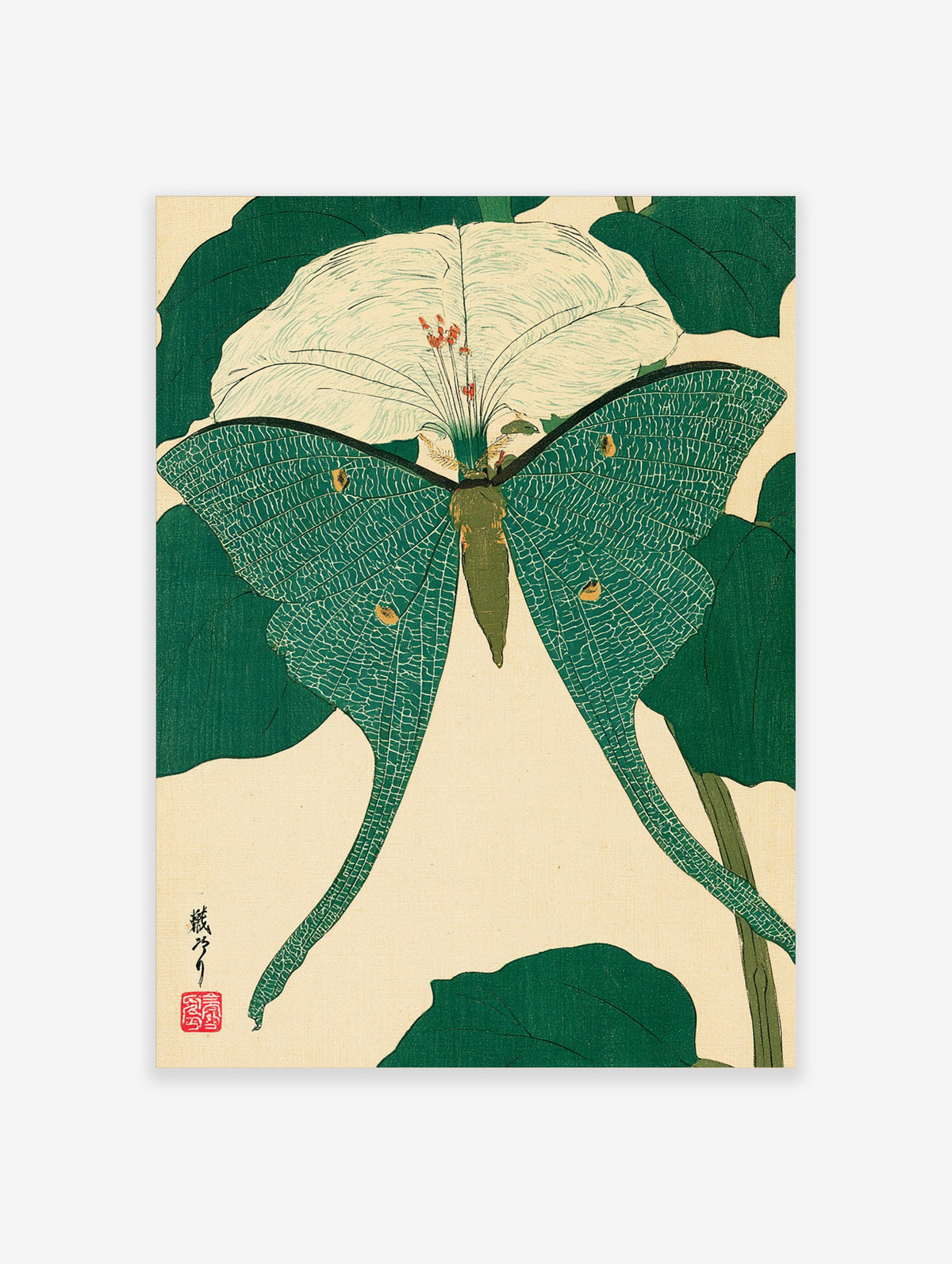 Green luna moth on white moonflower with dark green leaves, Japanese woodblock style art print