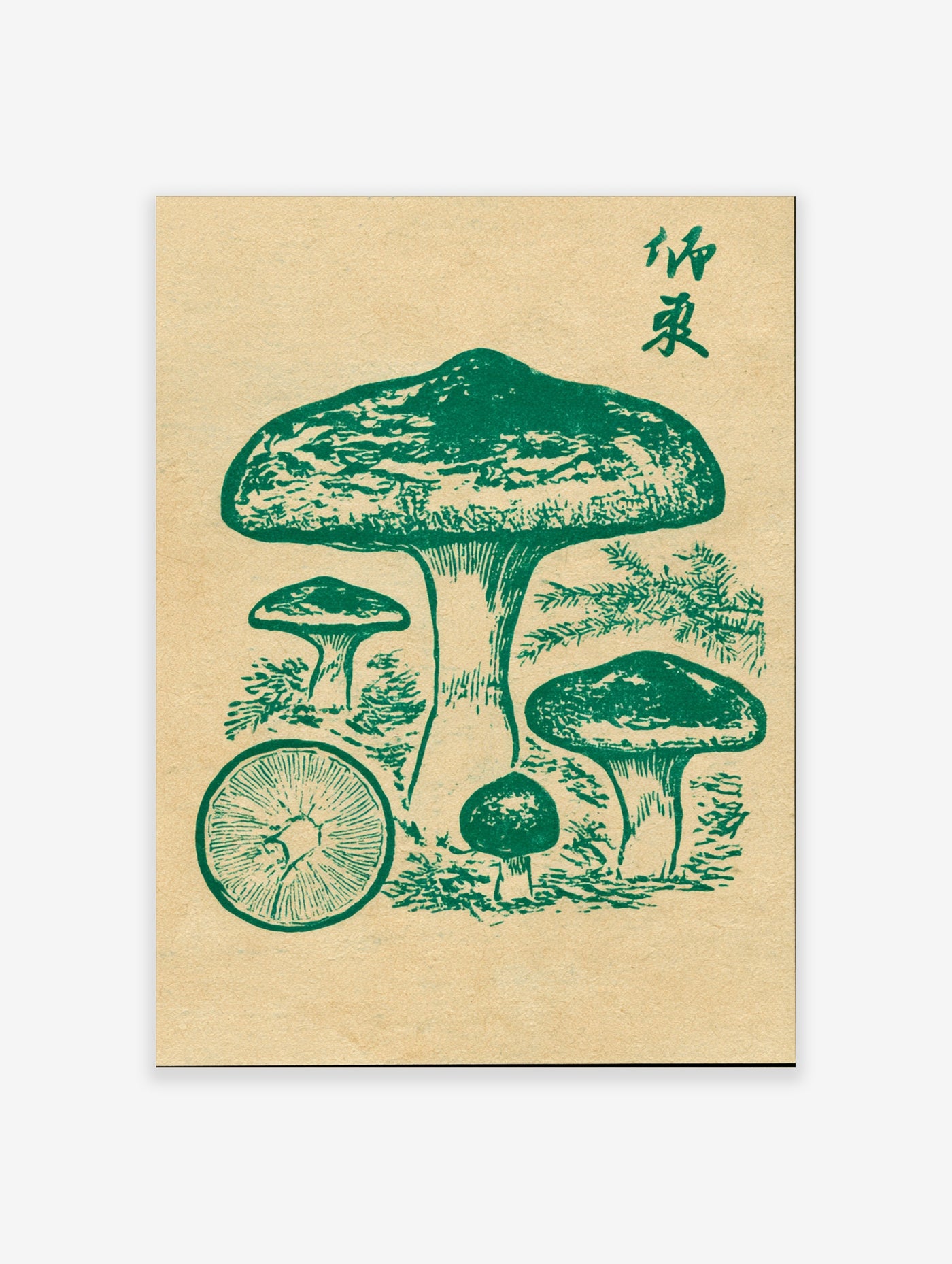 Green mushroom botanical illustration with kanji characters, vintage style on beige background