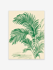 Green palm leaf botanical illustration art print with textured, hand-drawn style on a cream background