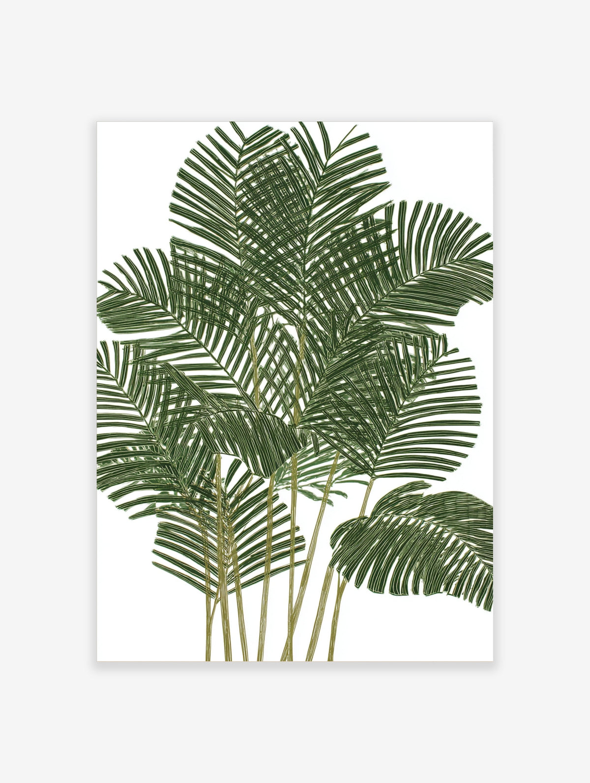 Green palm leaf botanical art print with layered tropical fronds on white background