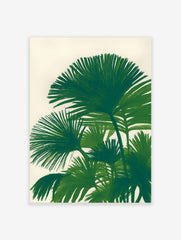 Illustrative green palm leaf botanical print on a light background, featuring fan-shaped leaves.