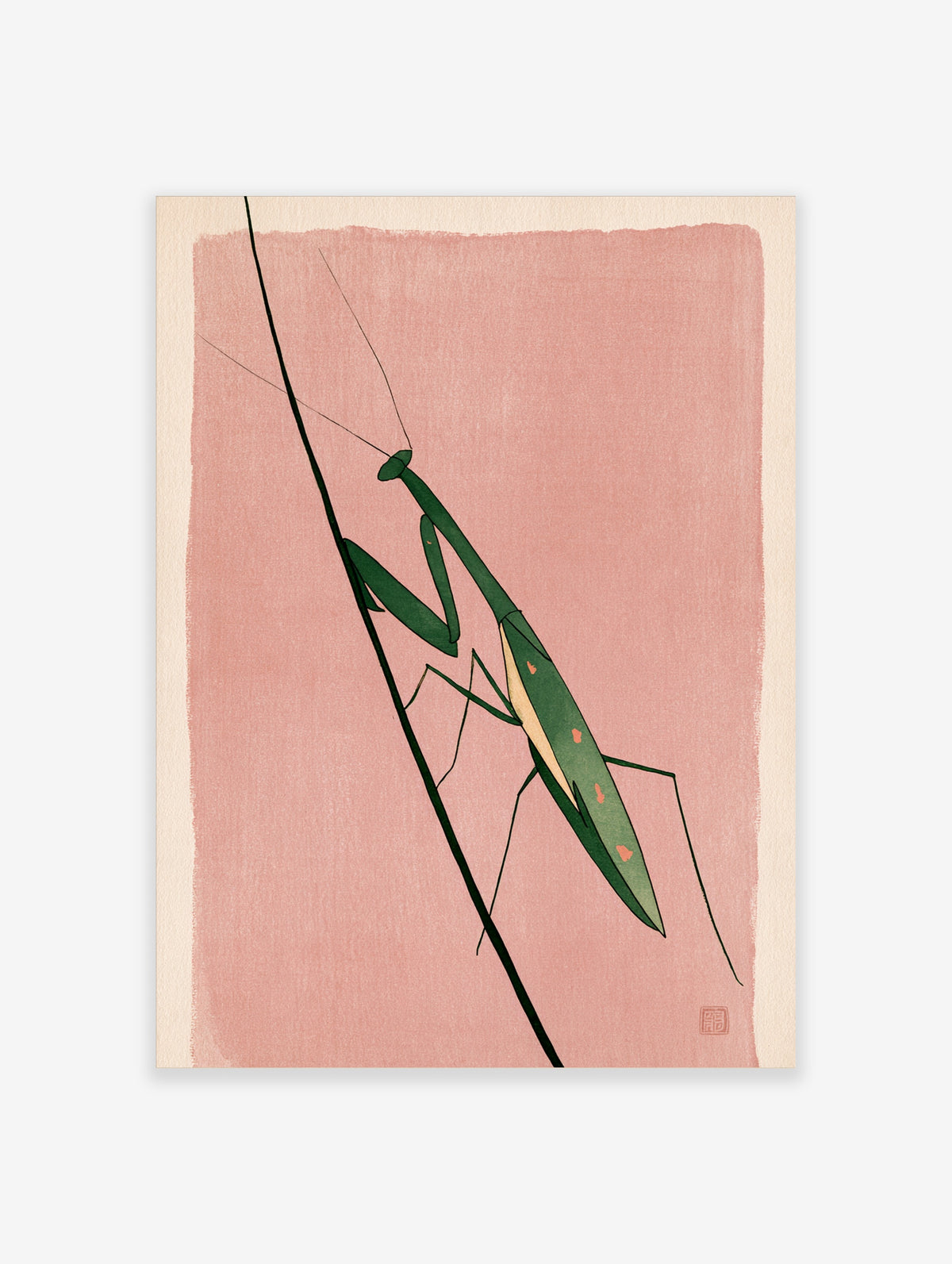 Green praying mantis on a black stem against a dusty pink background, insect wall art print