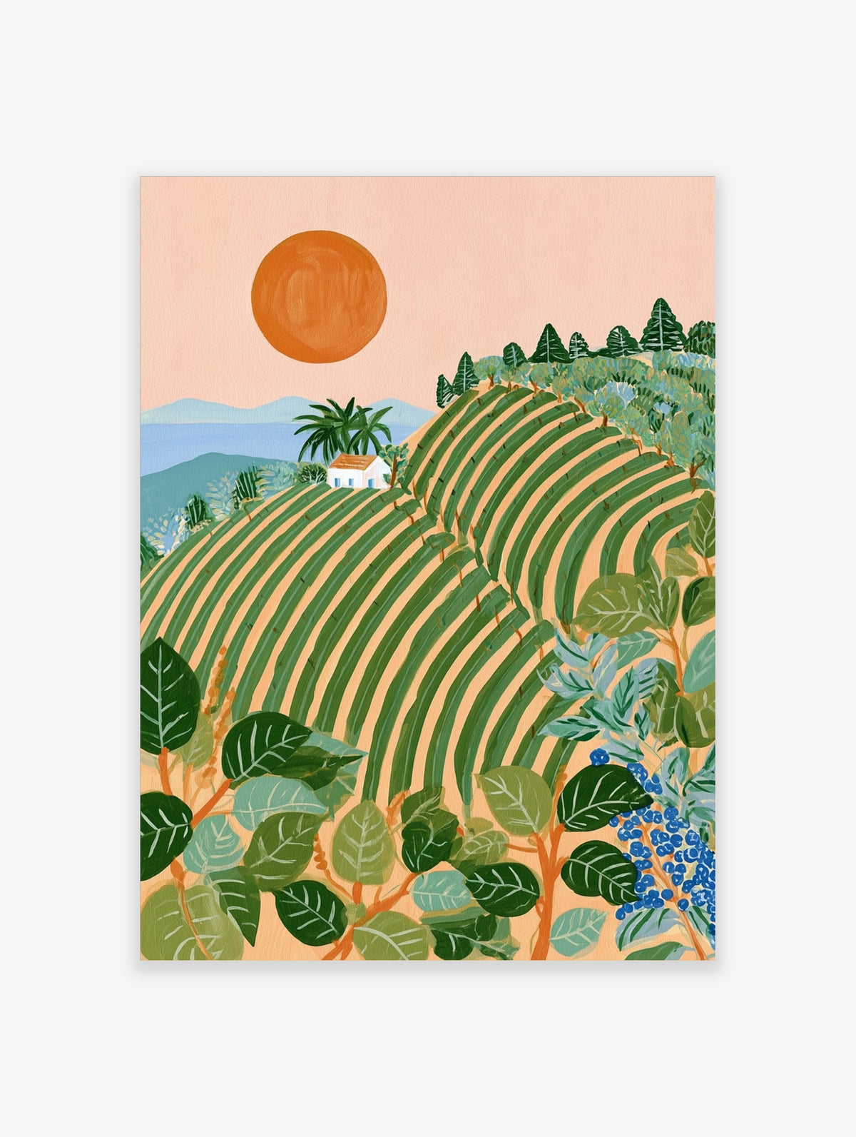 Green rolling hills poster with striped vineyard rows, white farmhouse, palm trees, orange sun, and peach sky
