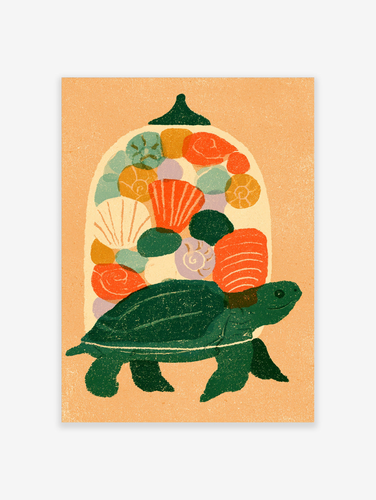 Green sea turtle carrying a glass dome filled with colourful shells and coral on a peach background