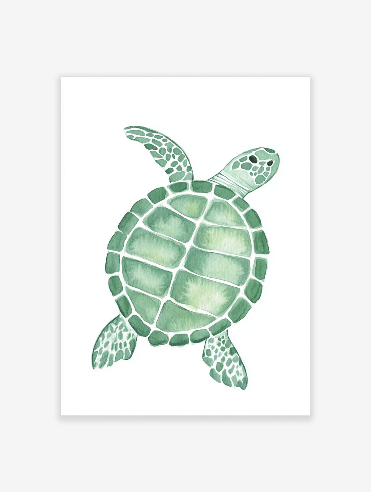 Green sea turtle watercolour illustration art print with distinct shell patterns on white background