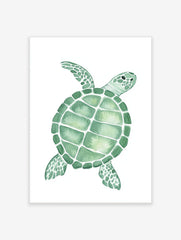 Green sea turtle watercolour illustration art print with distinct shell patterns on white background