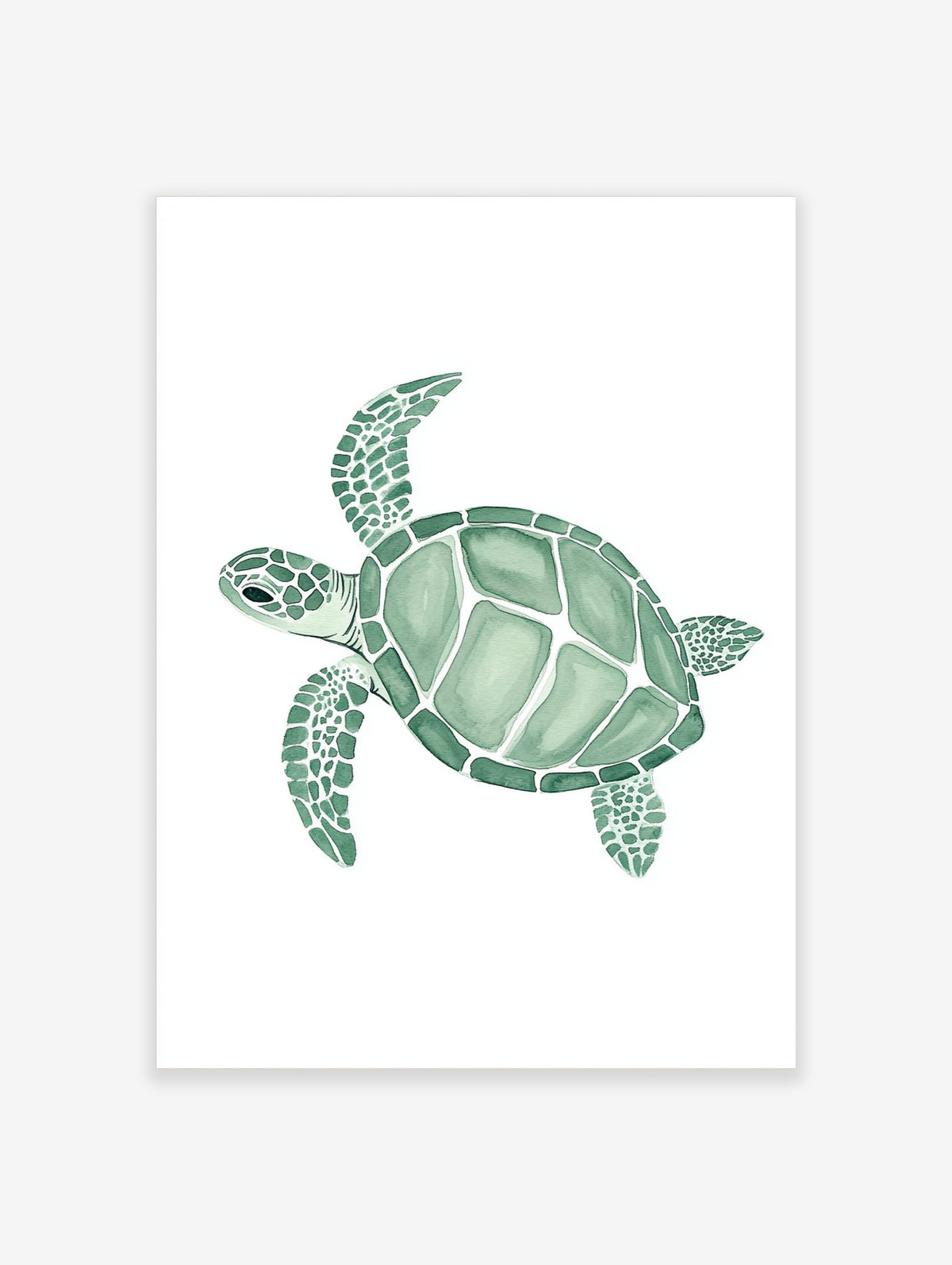 Green sea turtle watercolour illustration art print with patterned shell and flippers on white background
