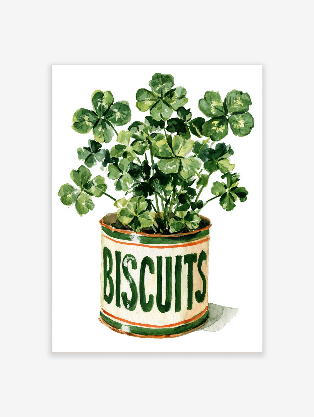 Watercolour clover plant in a cream biscuit tin with green BISCUITS lettering and orange bands