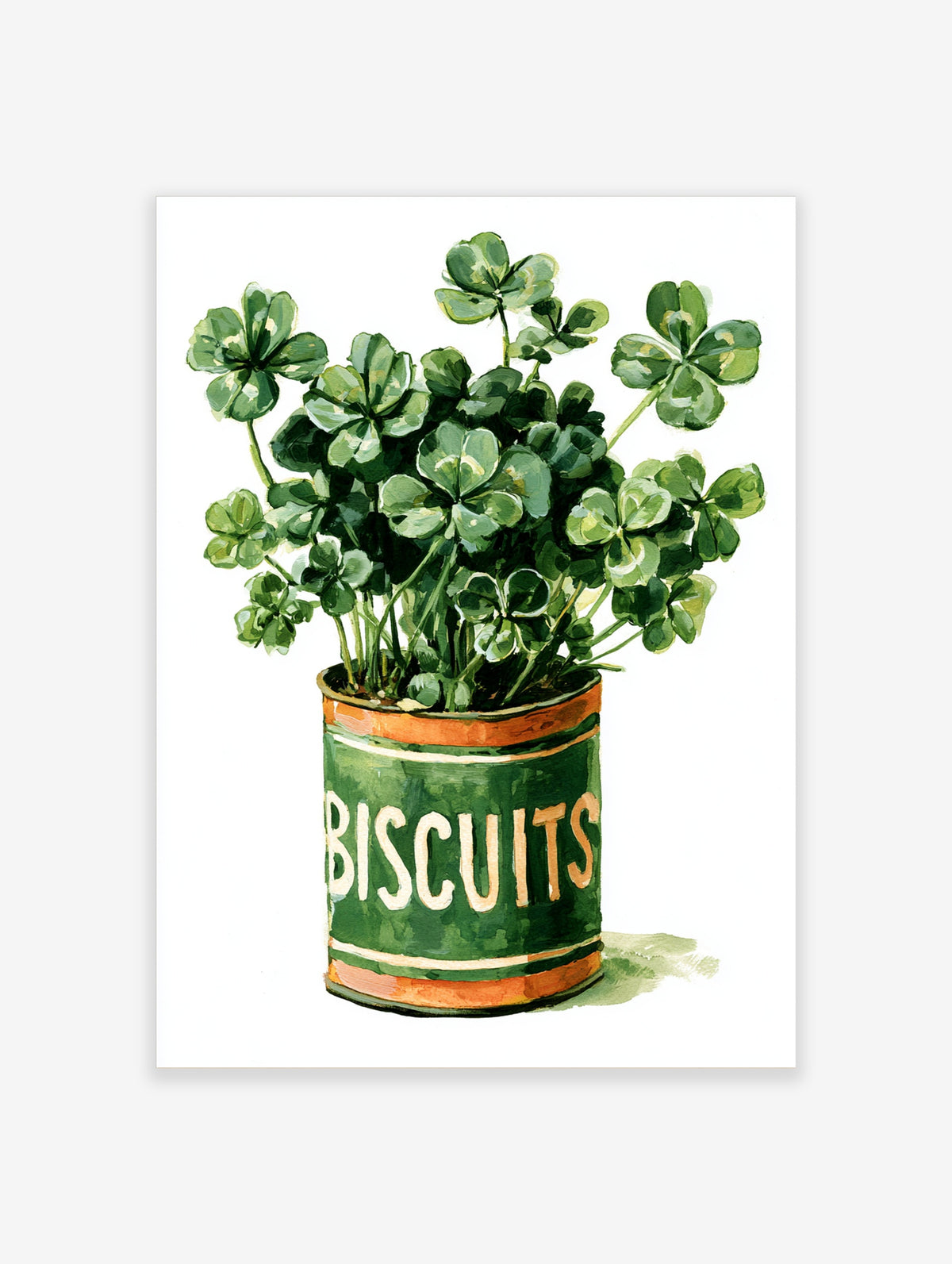 Green shamrock plant in a vintage 'BISCUITS' tin, painted botanical wall art print