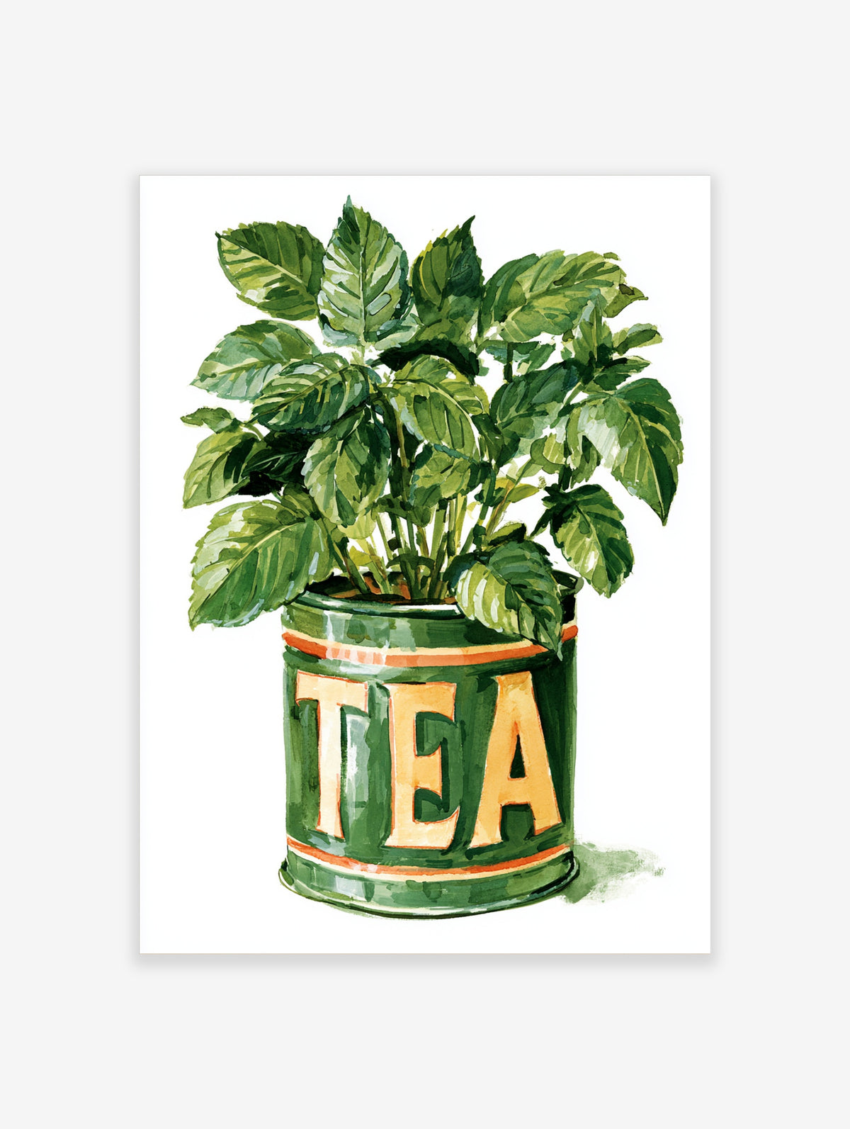 Green tea tin planter with leafy plant and TEA typography illustration poster