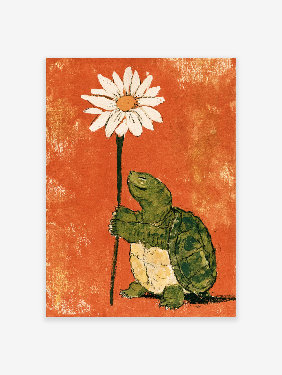 Green turtle holding a tall white daisy flower against a textured orange background art print