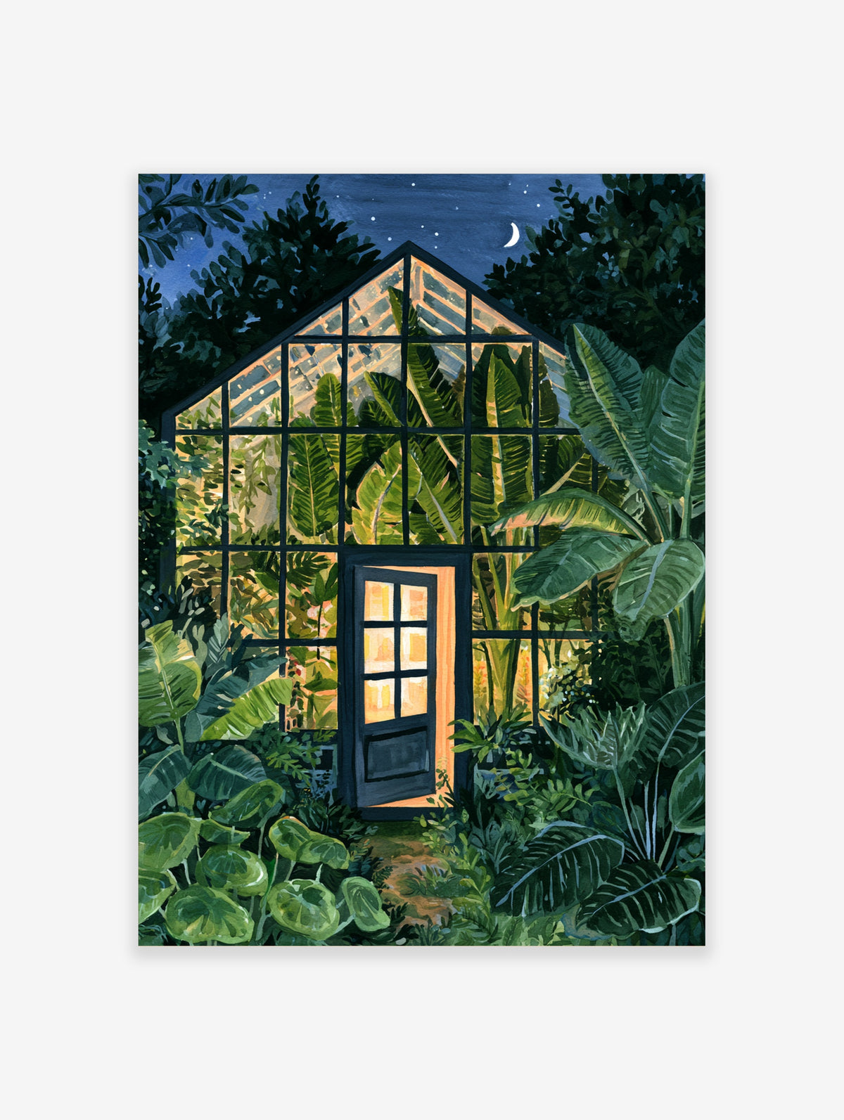 Illustration of a glowing greenhouse at night surrounded by lush tropical banana leaves under a starry sky
