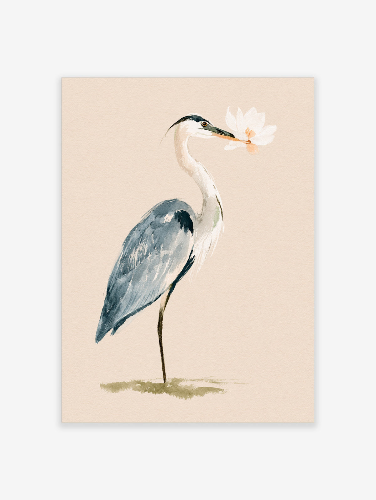 Grey heron watercolour art print holding a white flower on a beige background