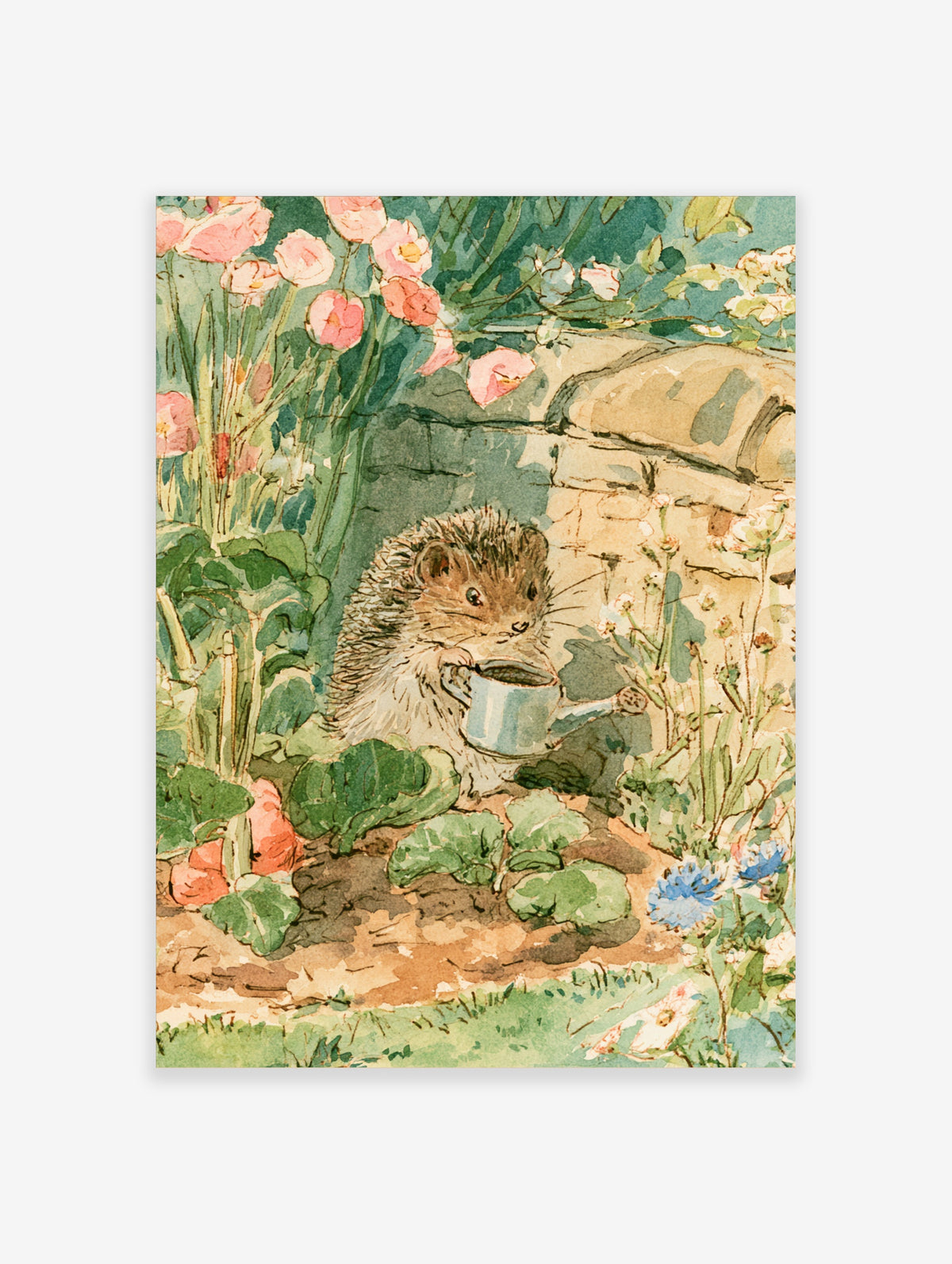 Hedgehog holding a blue watering can among pink poppies and green leaves in a cottage garden watercolour