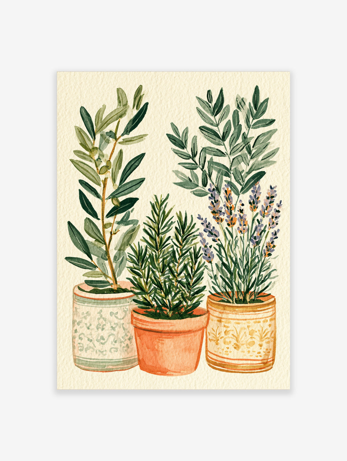 Watercolour-style herb garden print with potted olive, rosemary, and lavender in patterned pots on cream background