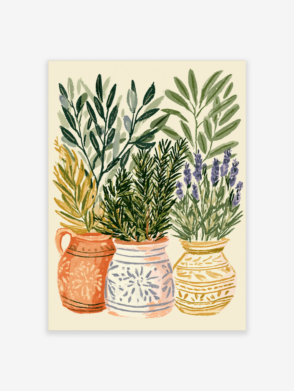 Botanical illustration of rosemary, lavender, and olive in terracotta and blue pots