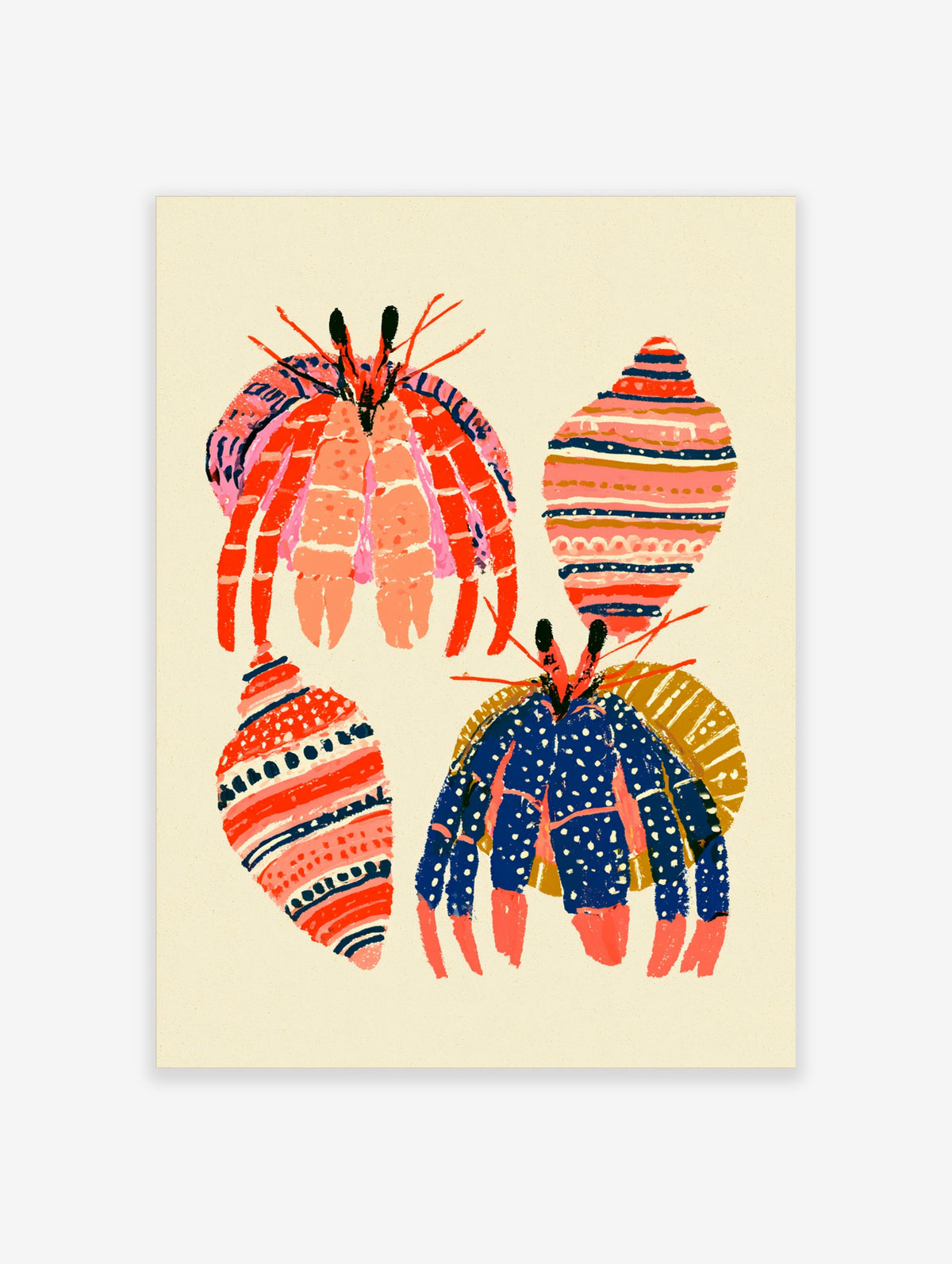 Colourful hermit crab and seashell art print with striped shells on cream background