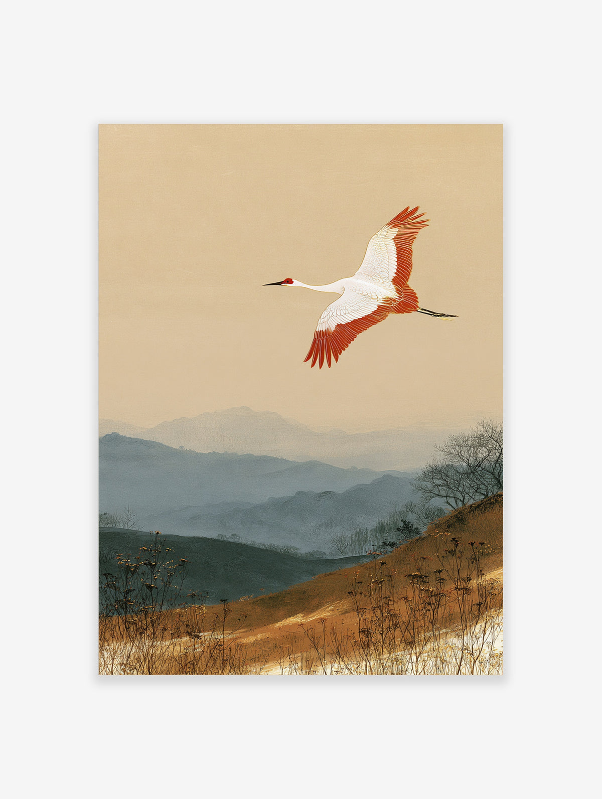 Japanese red-crowned crane flying over misty blue mountains and earthy grass landscape art print