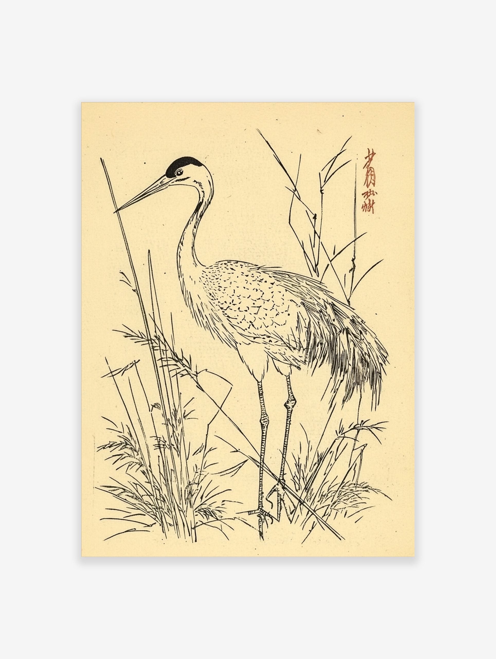 Japanese crane bird illustration standing in reeds, black ink on beige, with red signature