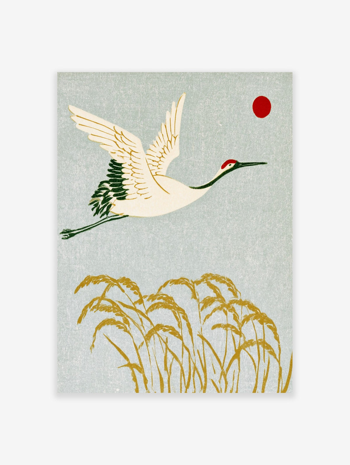 Japanese crane in flight above golden rice stalks with a red sun, illustrative nature art print on grey background