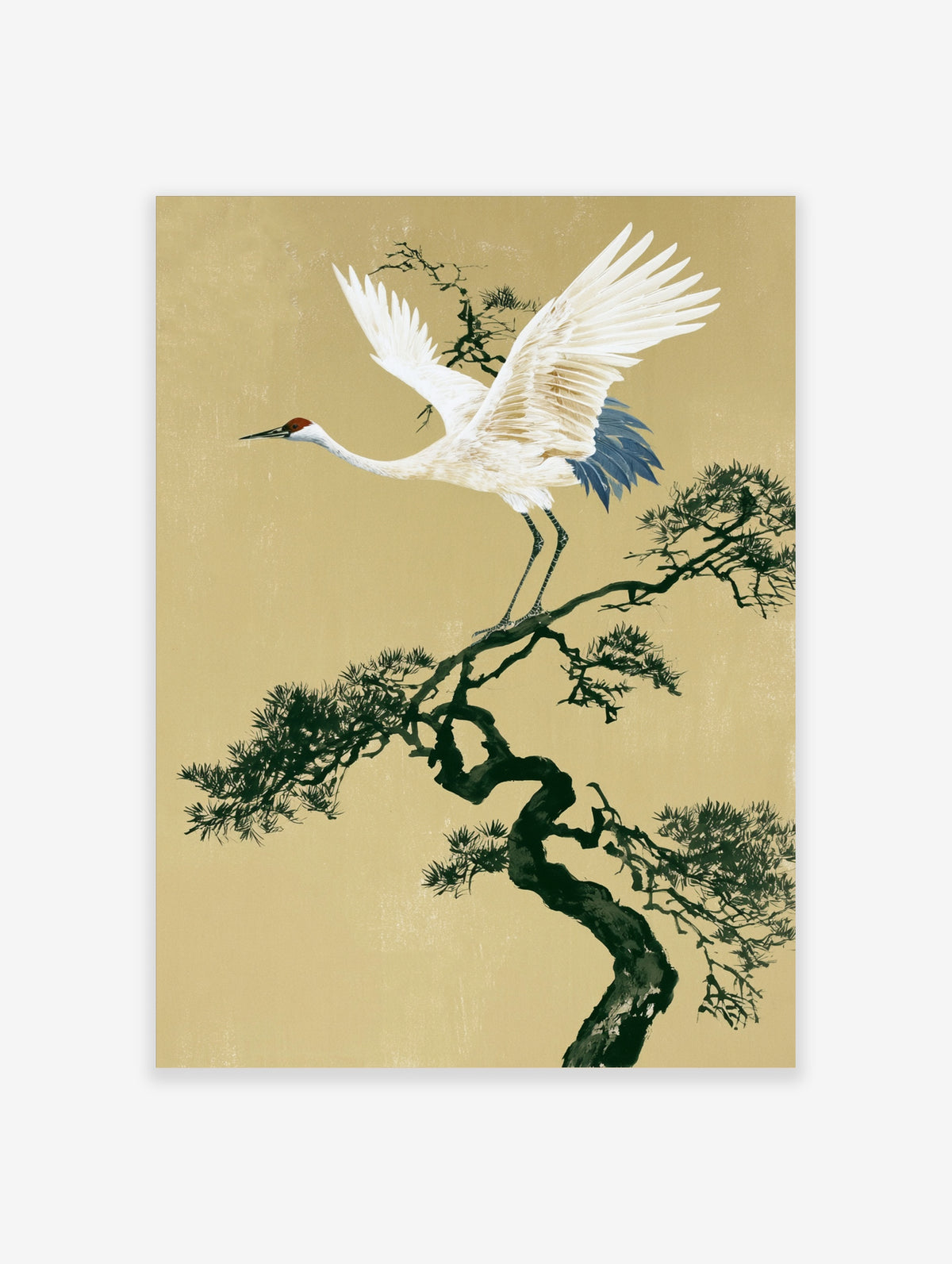 White crane with raised wings on a dark pine branch against a gold background, Japanese-style bird art print