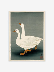 Japanese woodblock print of two white geese with orange beaks and feet on a muted greenish-grey background.