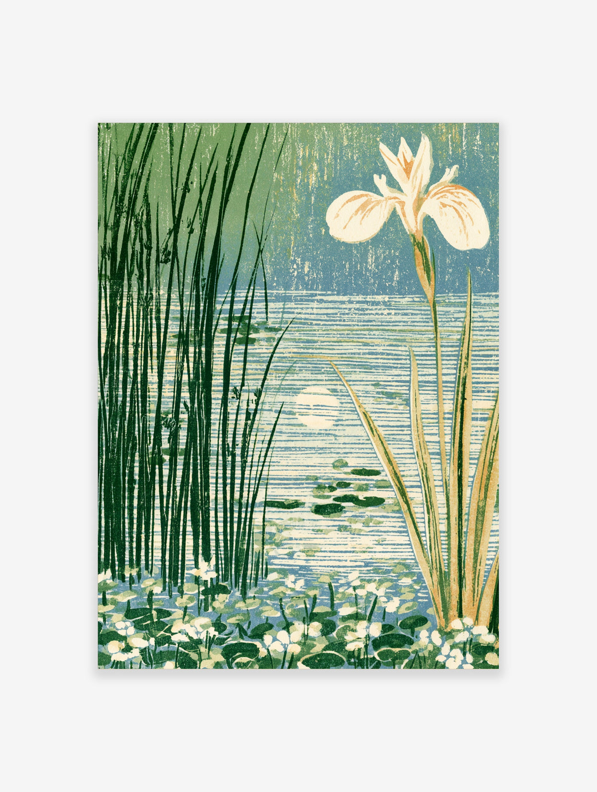 Japanese iris and tall reeds art print with blue water lines and lily pads
