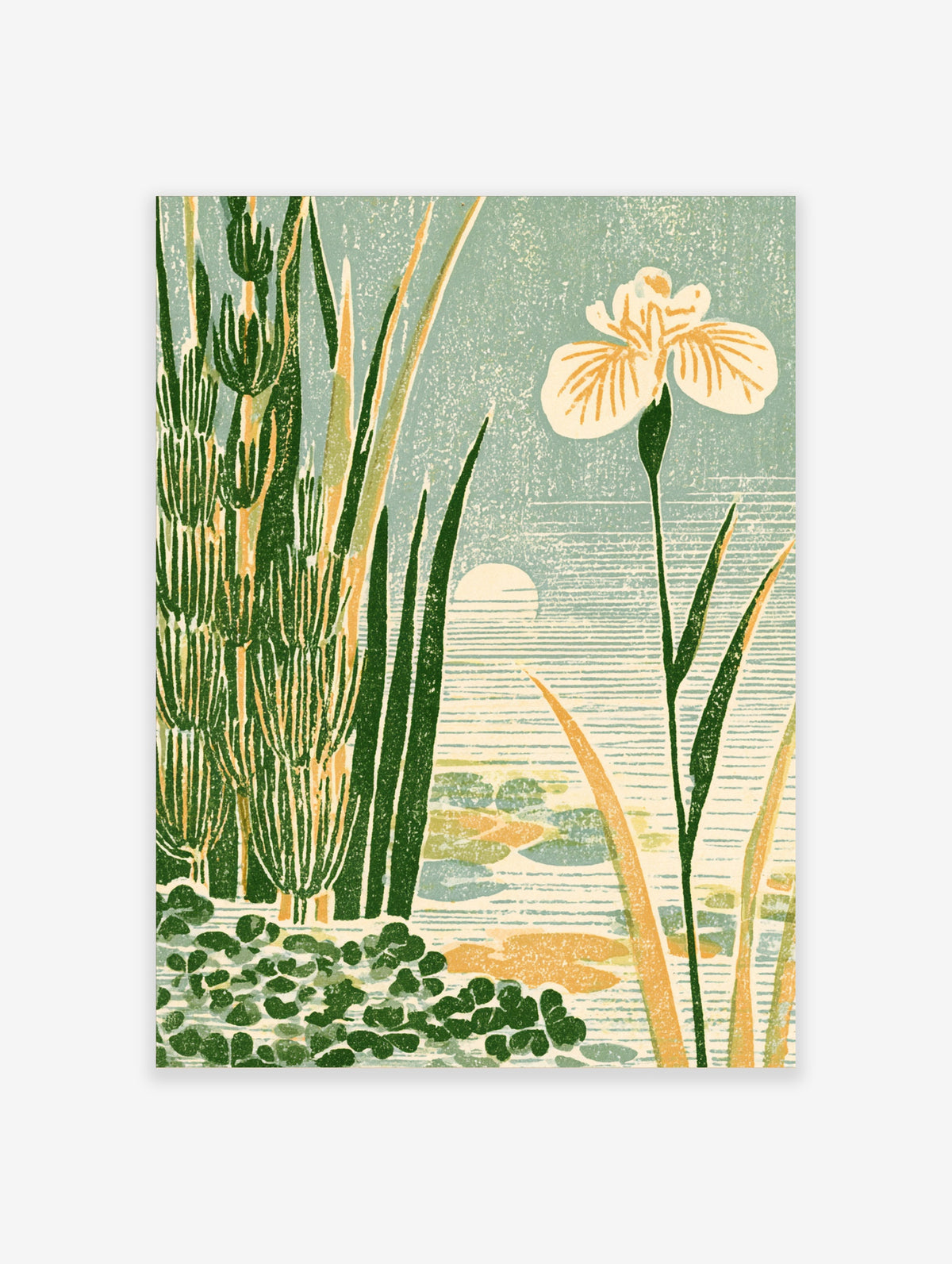 Japanese iris and lily art print with green foliage, low sun, and water ripples