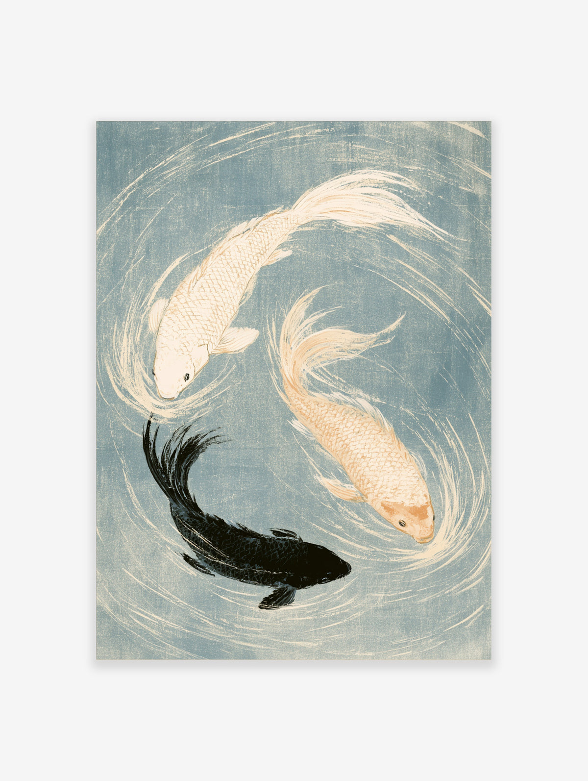 Japanese koi fish poster with two pale koi and one black koi in a yin yang circle on blue background