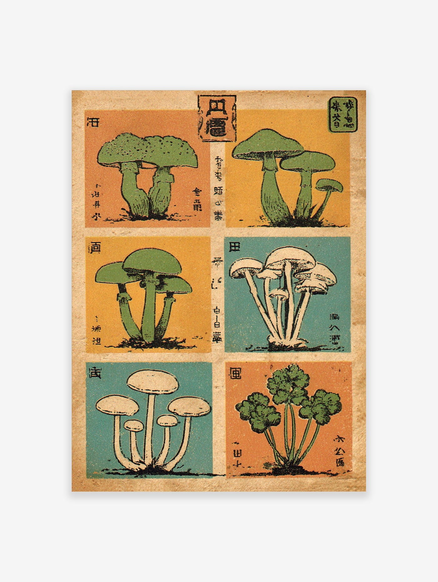Japanese mushroom poster with six green and white fungi illustrations, kanji text, and retro grid layout