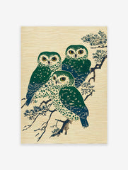 Three green and blue Japanese owls perched on a pine branch, depicted in a traditional Ukiyo-e style art print.