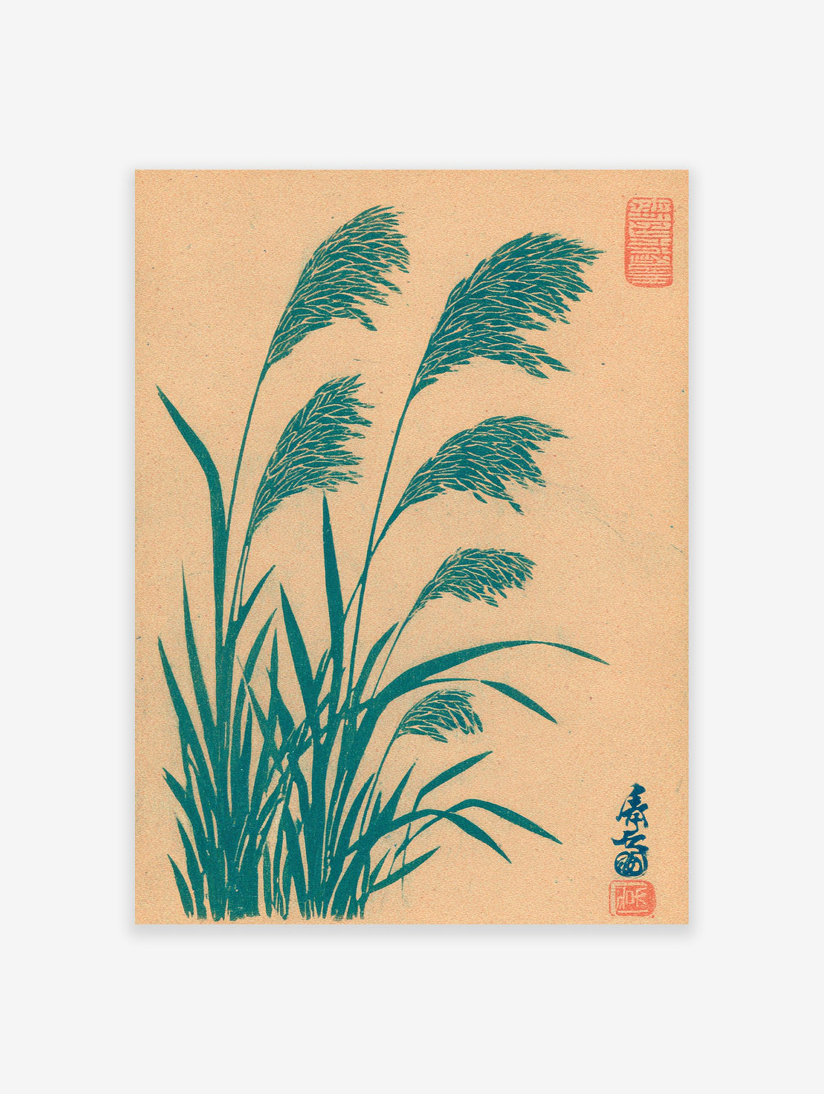 Japanese Pampas Grass botanical art print in teal on a light brown background, with red Japanese seals.