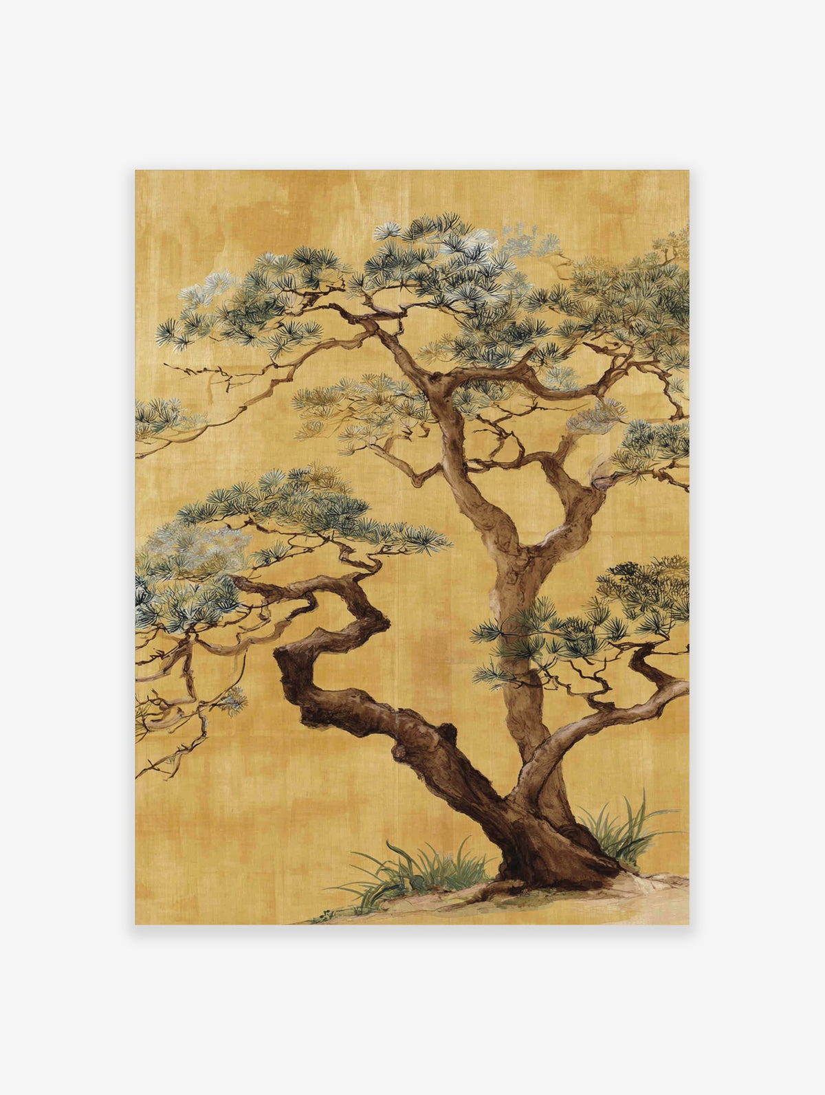 Japanese pine tree illustration with twisted brown trunks and green-blue needles on a gold background