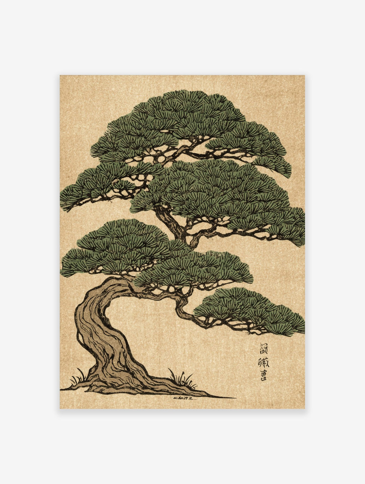 Japanese pine tree woodblock print with green foliage, gnarled brown trunk, and Kanji on beige background