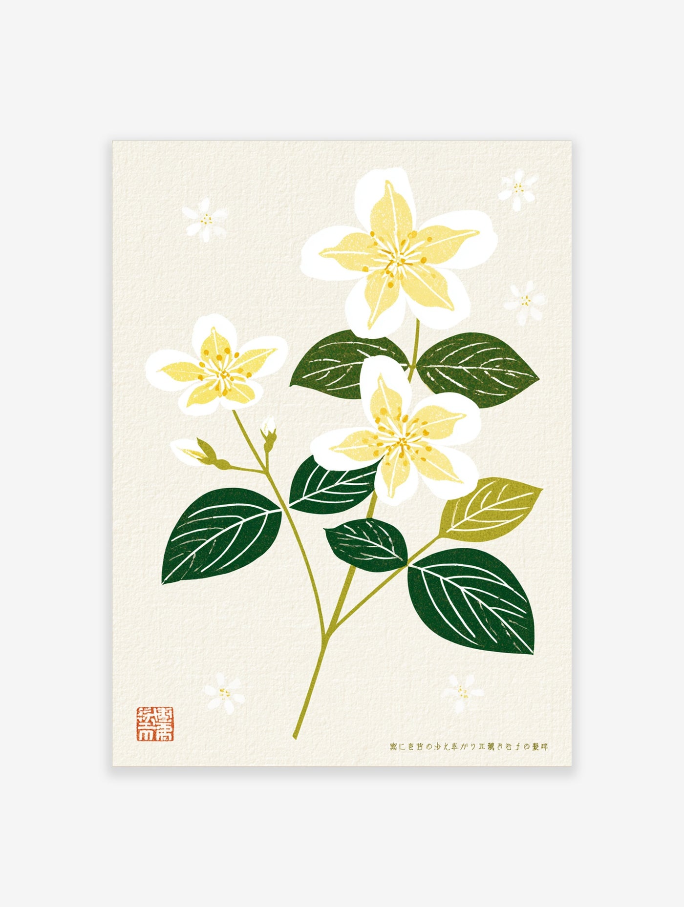 Botanical jasmine illustration with white flowers, green leaves, and Japanese text on a textured cream background