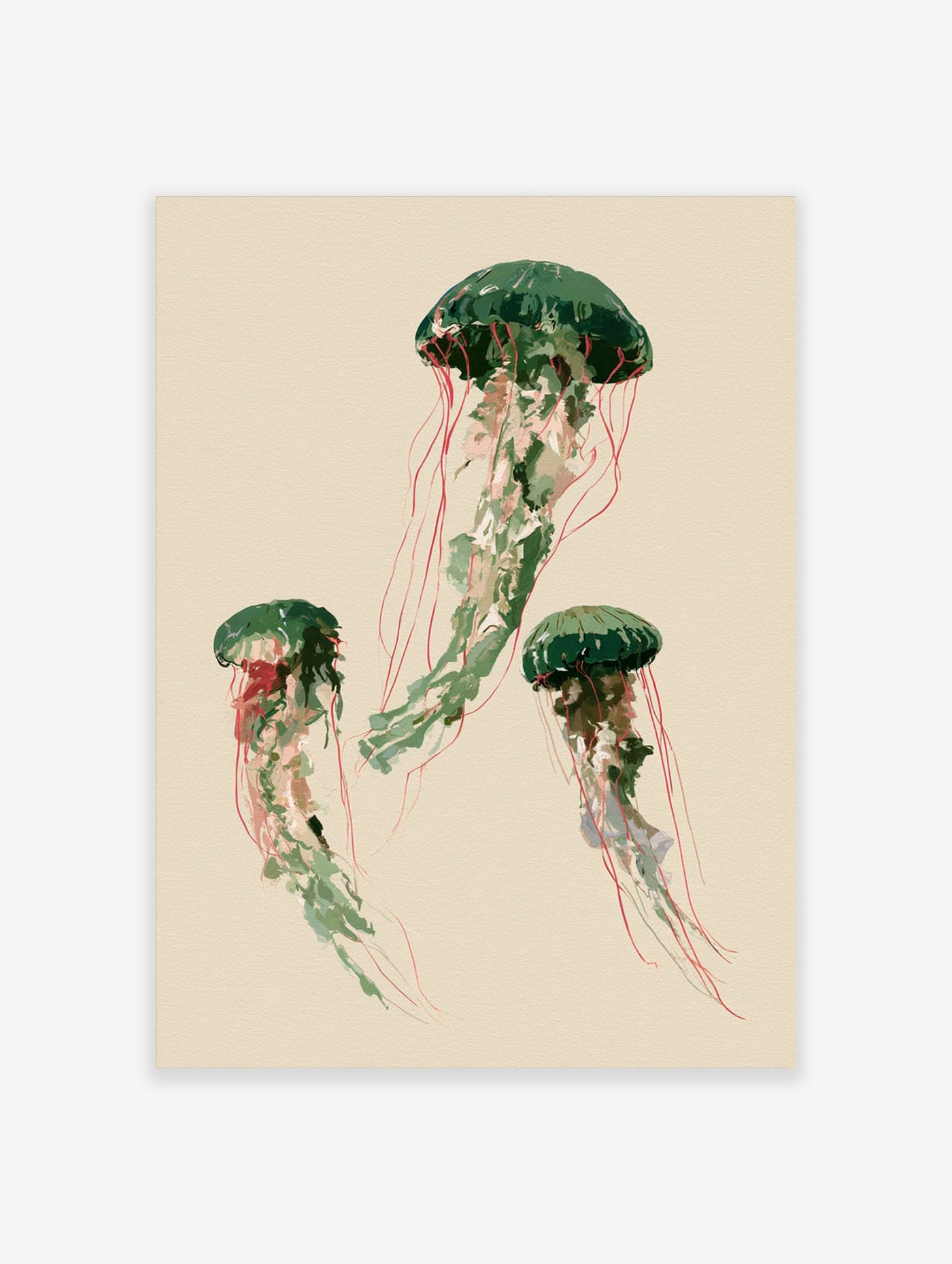 Three green jellyfish with pink tentacles illustration on a beige background, marine life art print