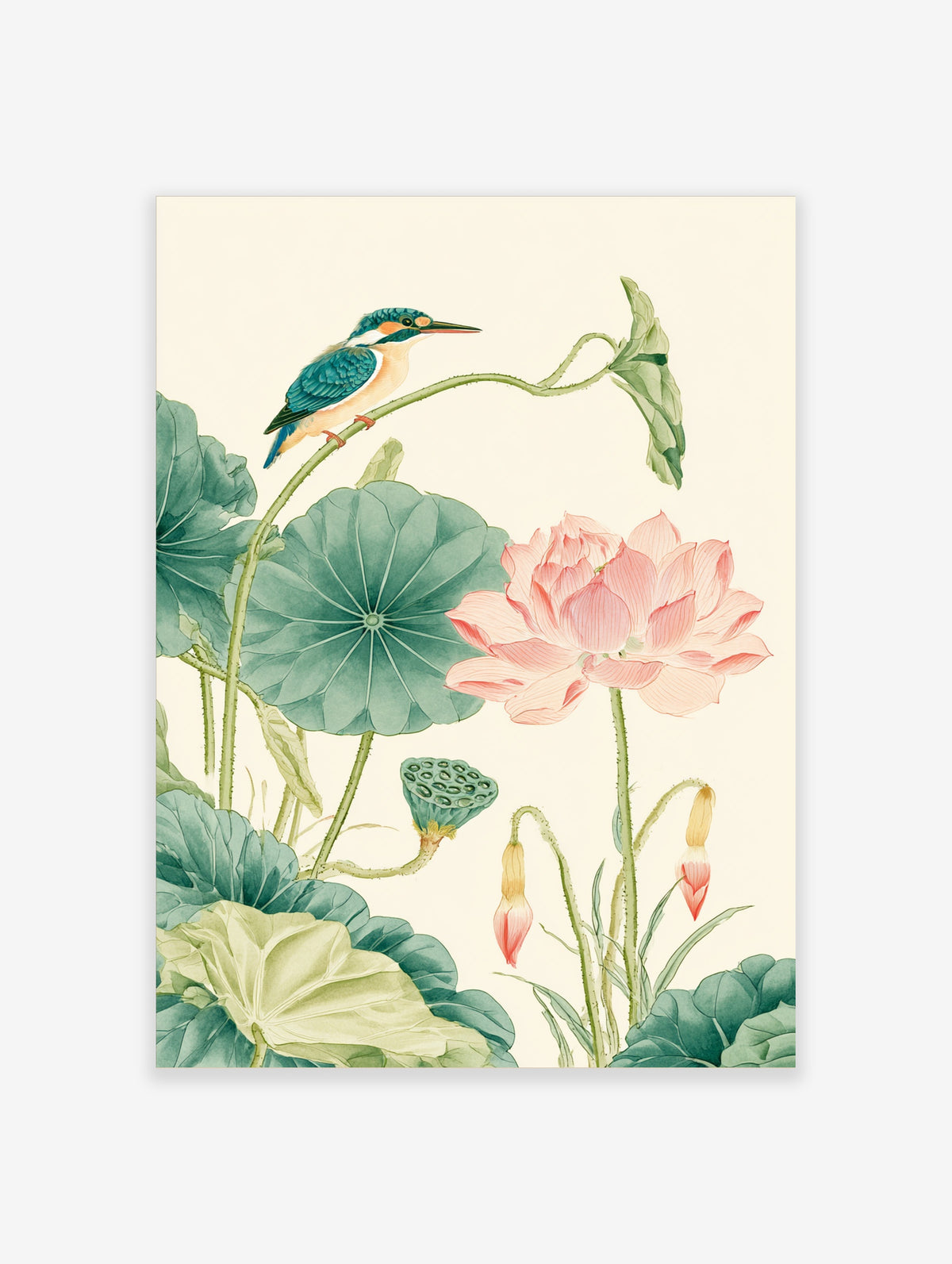 Kingfisher on curved stem above pink lotus flower and green lily pads, botanical art print