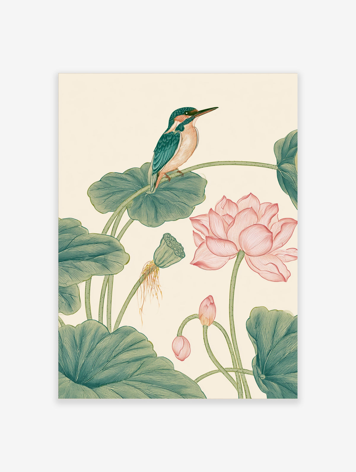 Kingfisher perched on a lotus leaf with pink water lily and green pads on cream background