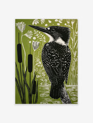 Kingfisher bird illustration in black and white against a green background with cattails and wetland plants