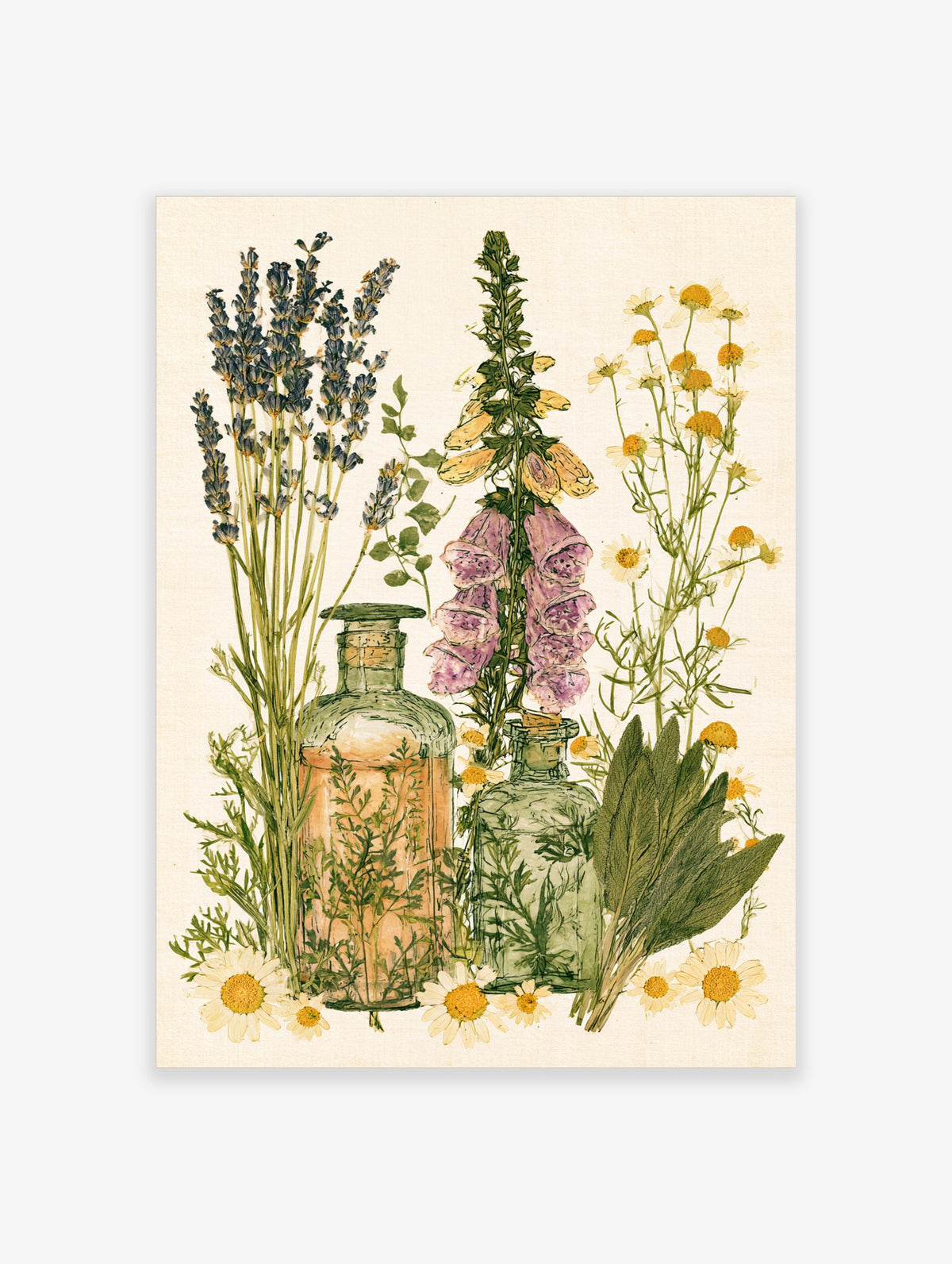 Vintage botanical poster with lavender, foxgloves, chamomile, and green glass bottles