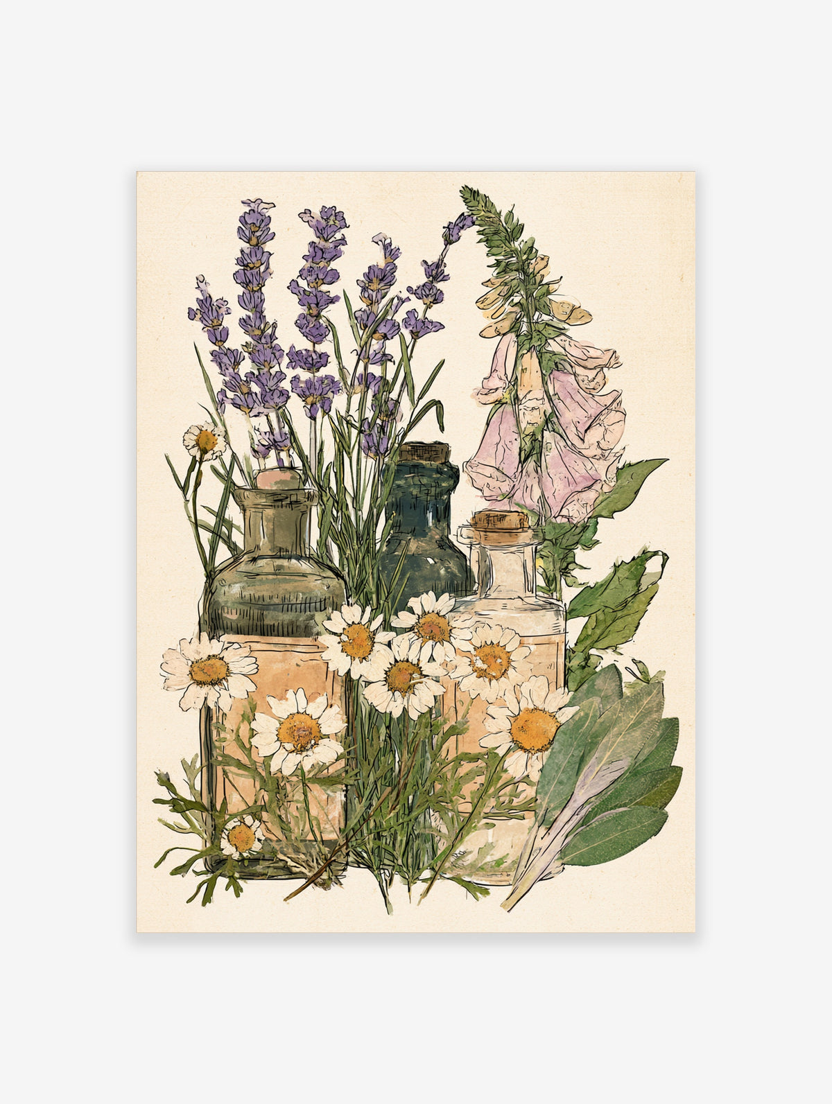 Vintage botanical illustration of lavender, chamomile, and foxglove with apothecary bottles on cream background