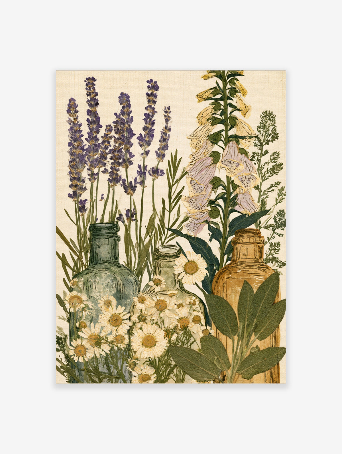 Vintage botanical poster with lavender, foxgloves, daisies, and glass bottles on cream background