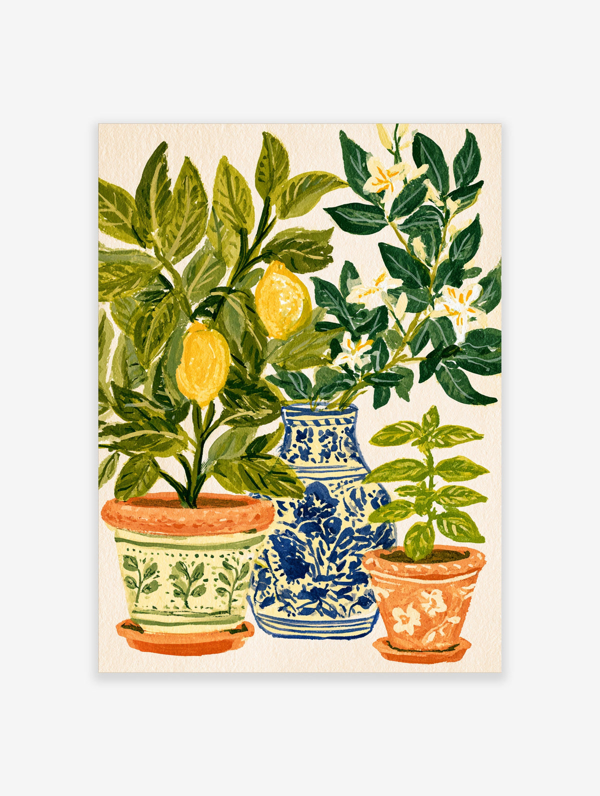 Lemon and jasmine botanical art print with potted citrus trees and blue vase on cream background