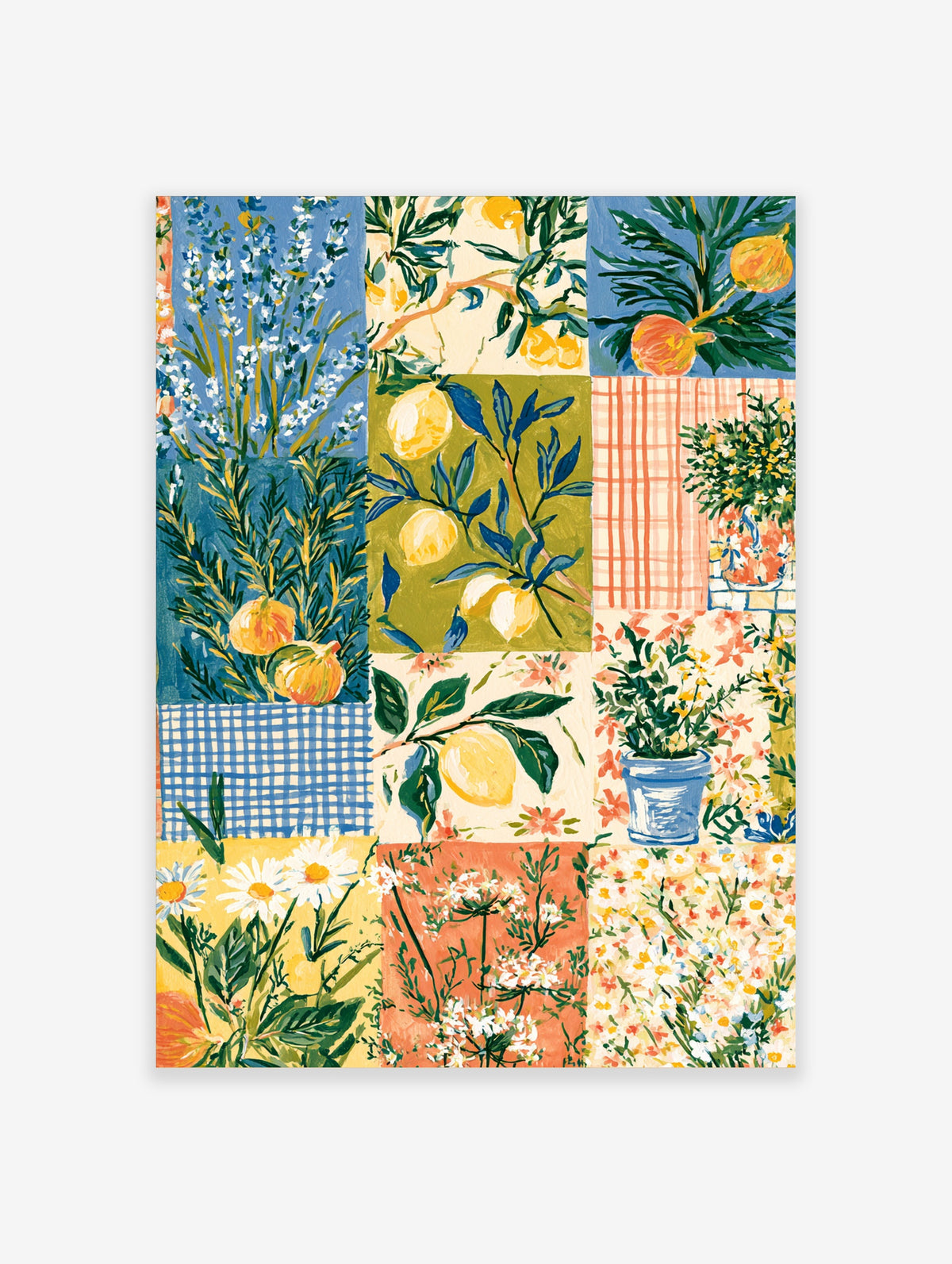 Colourful botanical poster with lemons, pomegranates, rosemary and daisies in a patchwork grid