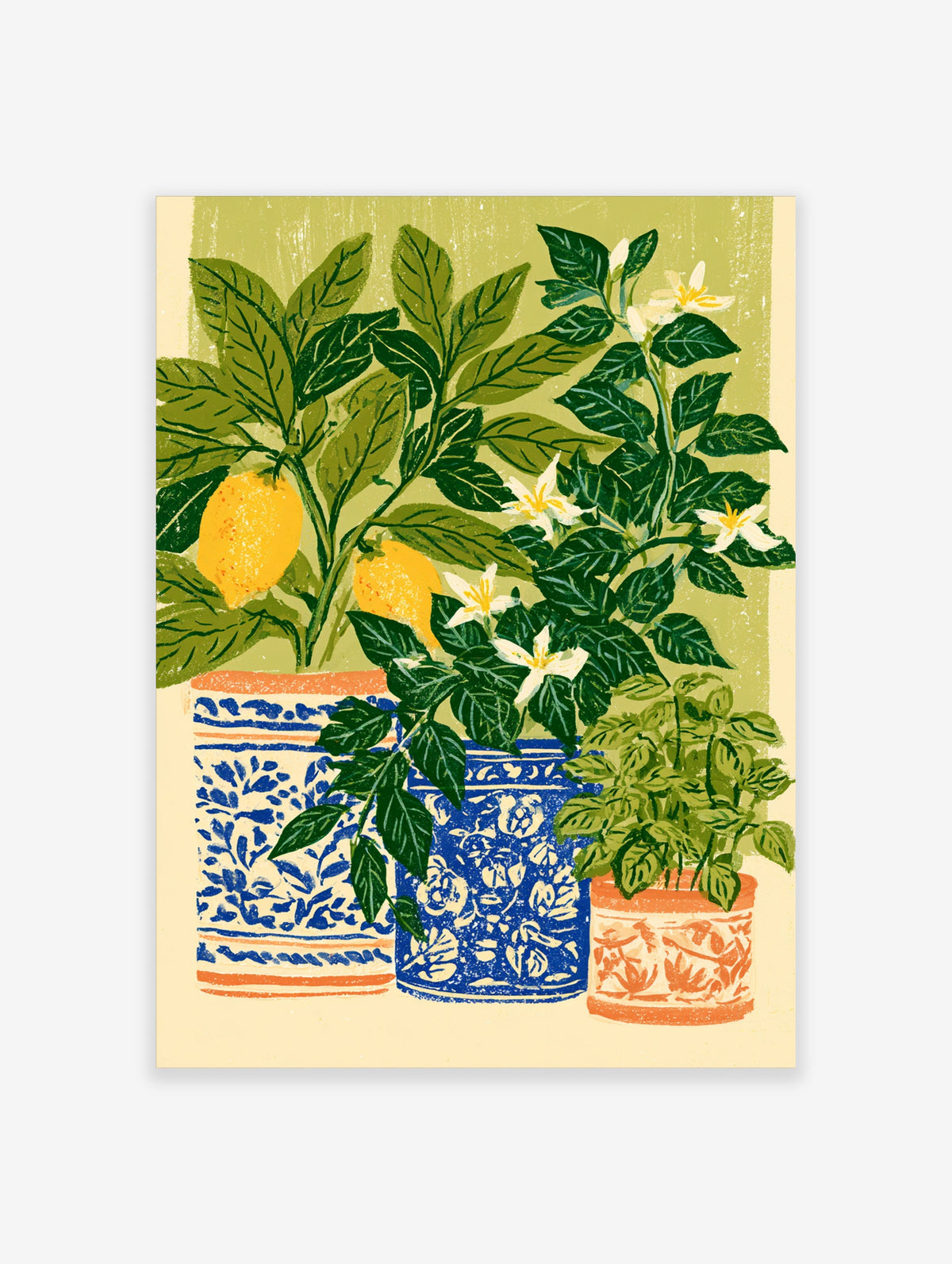 Lemon tree and jasmine botanical art print with blue and white planters and yellow fruit