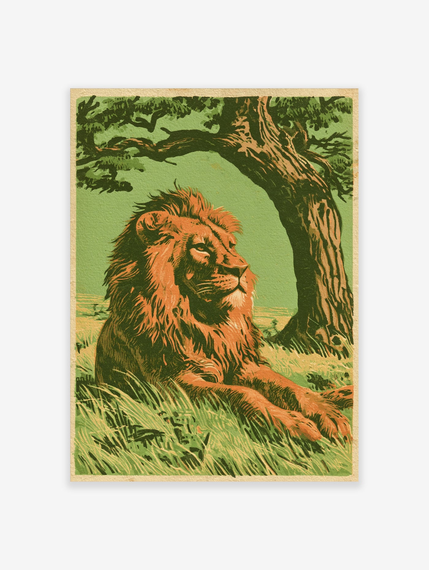 Vintage illustrative art print of a lion resting in tall grass under a tree with green background