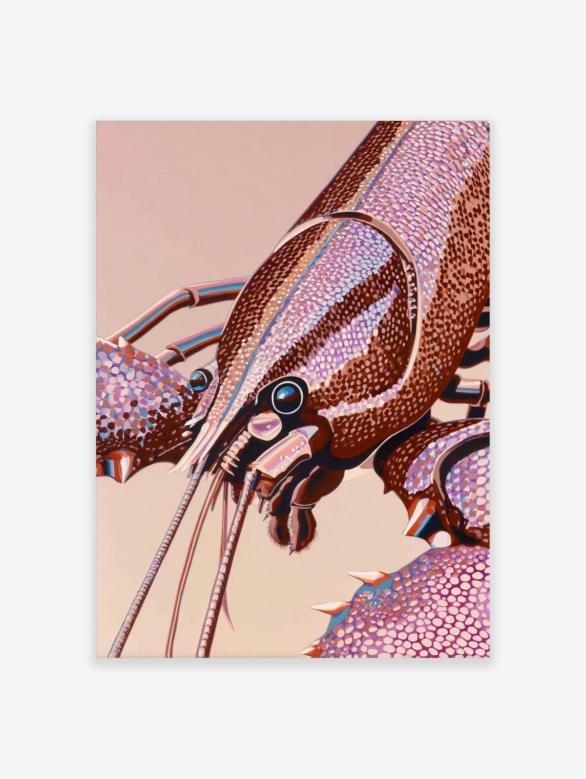 Close-up lobster illustration with segmented shell, blue eye, and long antennae on a pink background