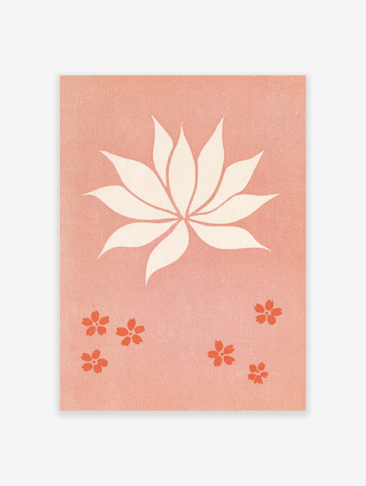Stylized lotus flower and cherry blossom illustrations on a textured pink background botanical art print
